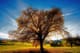What if consciousness is already expressing itself through us?